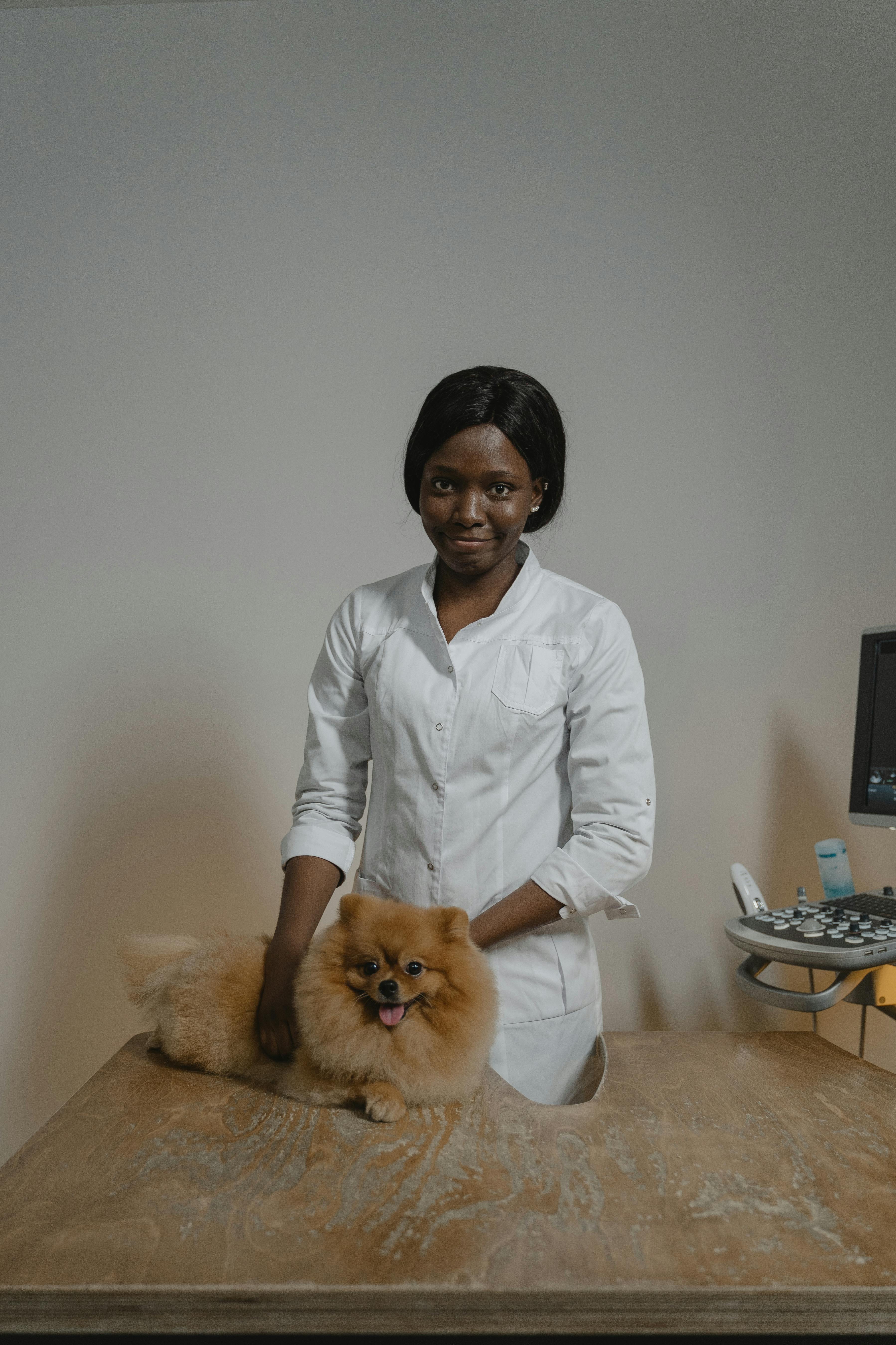 Veterinary-led pet travel and animal relocation services in Nigeria