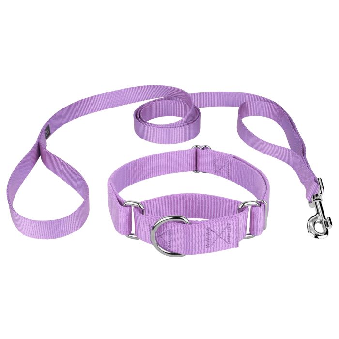 Puppy Collar and Leash – Adjustable Walking & Training Set for Puppies
