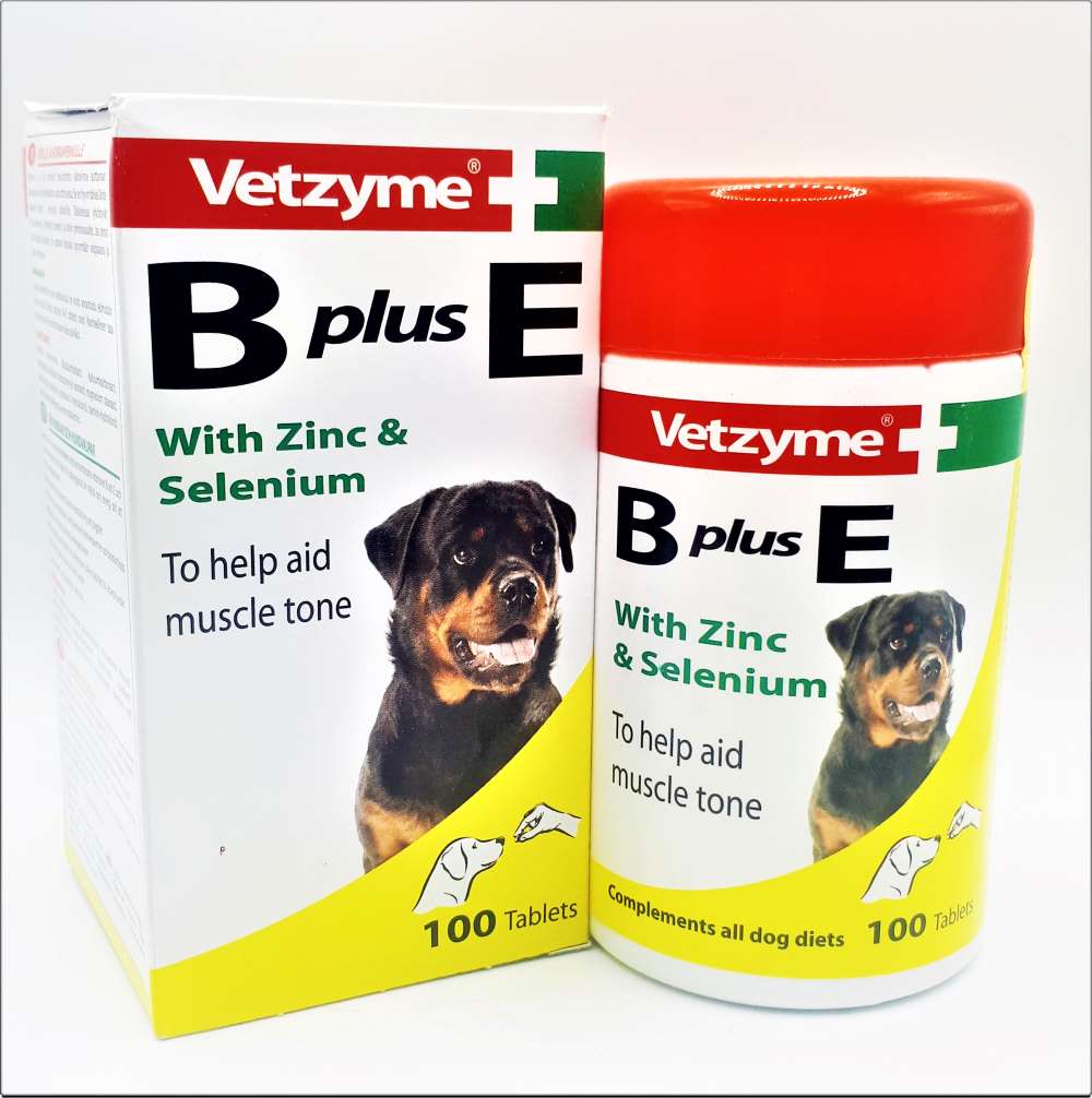 Vetzyme B Plus E with Zinc & Selenium – Multivitamin Tablets for Dogs & Puppies
