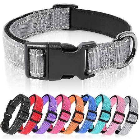 Sturdy & Heavy-Duty Collar for Dogs (Medium size)